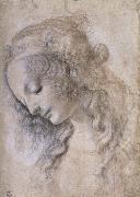 LEONARDO da Vinci Woman portrait Germany oil painting artist